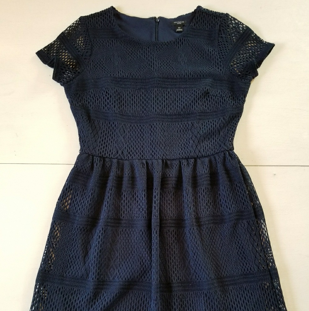 Ann Taylor | Dress Lace